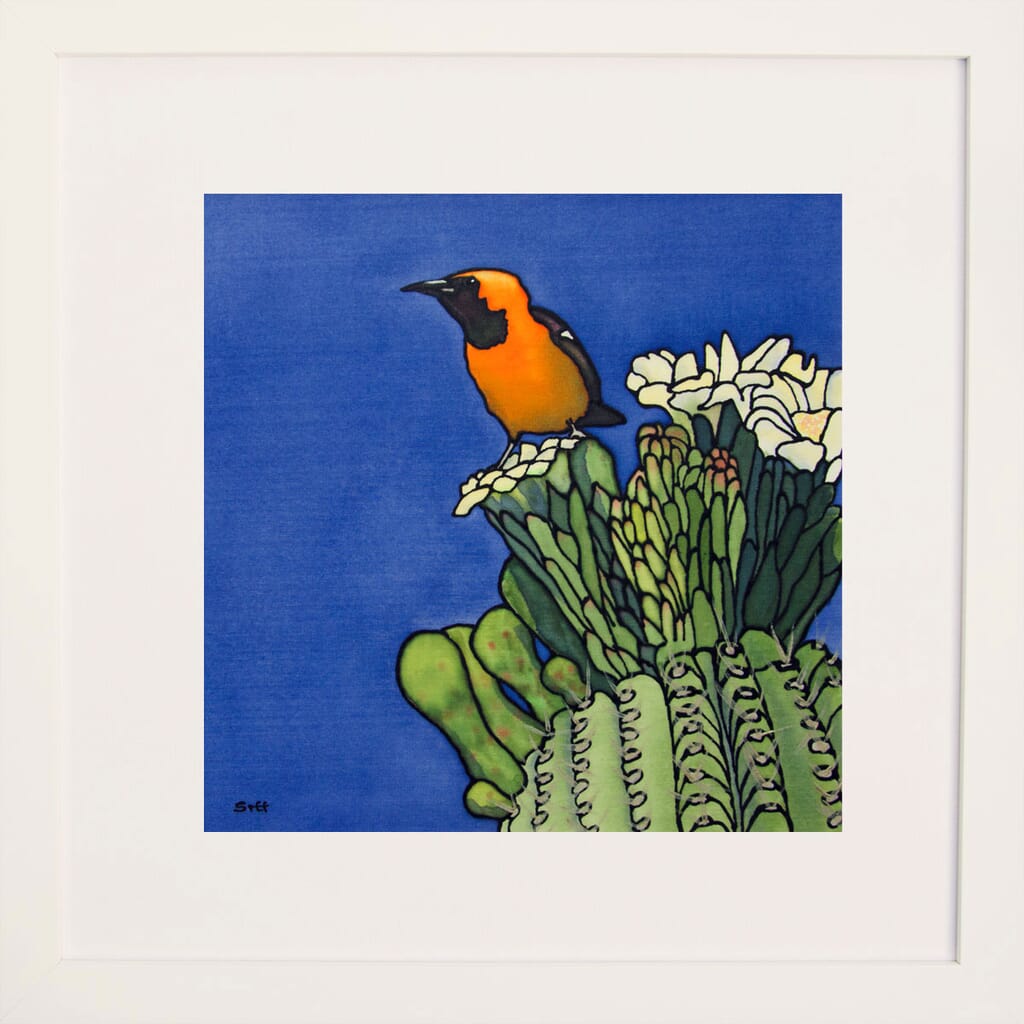 Oriole and Cactus IV